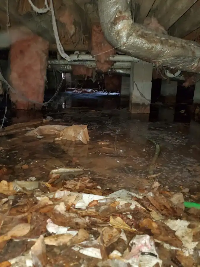 Crawl space flood assessment for Commercial Water Damage Restoration in Galliano